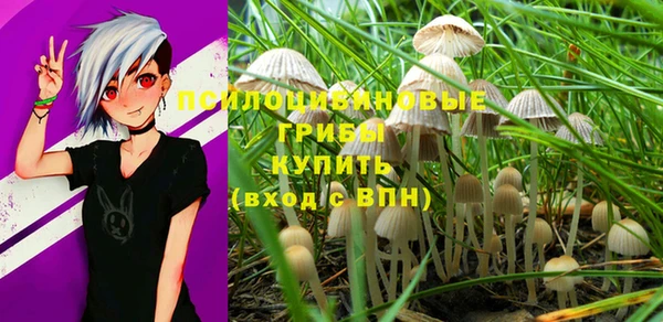мескалин Арсеньев