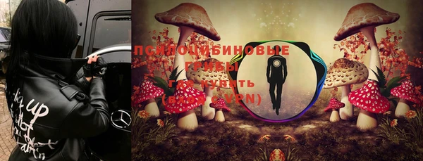 сатива Армянск